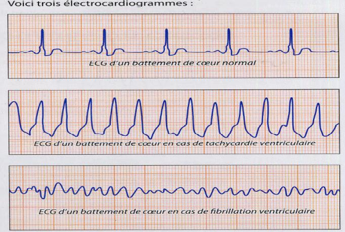 Les Signaux Periodiques