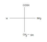 synthse peptidique