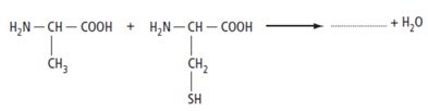 synthse peptidique