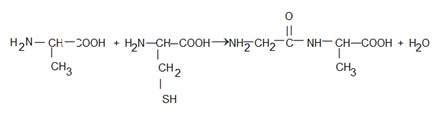 synthse peptidique