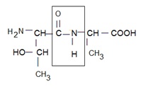 synthse peptidique
