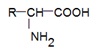 synthse peptidique