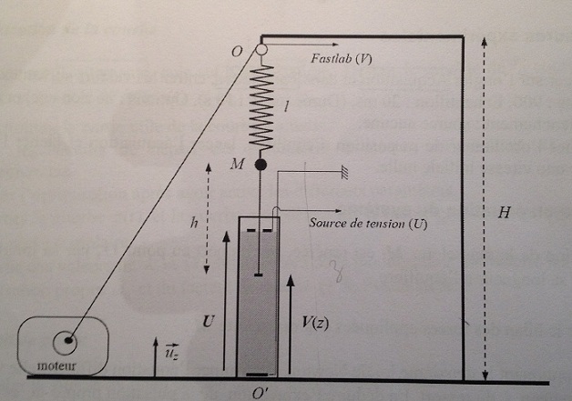 TP : Oscillations forces