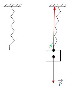 Equilibre d\'un solide soumis  l\'action de deux forces