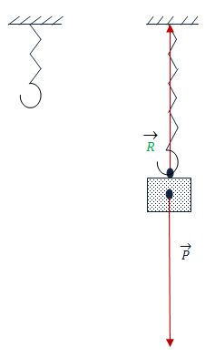Equilibre d\'un solide soumis  l\'action de deux forces