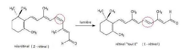 Vision / Chimie