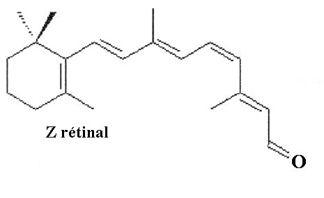 Vision / Chimie