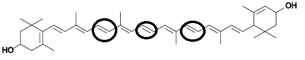 La vitamine A et la DMLA