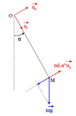 Lois de Newton sur un pendule simple.
