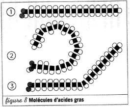 DM biologie