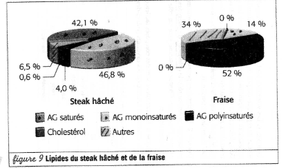 DM biologie