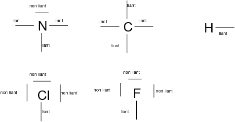 Doublet liant et non liant