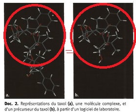 Intrt de la chimie de synthse - Le taxol