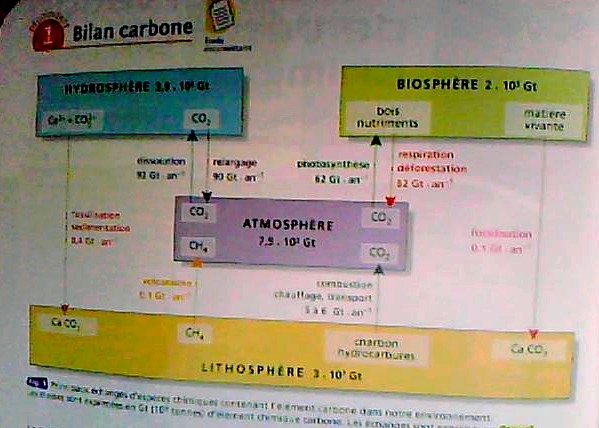 Echanges d\'lment chimique carbone