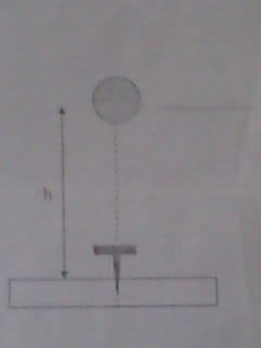 exercice de physique 