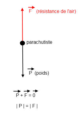 Chute libre au sens des physiciens