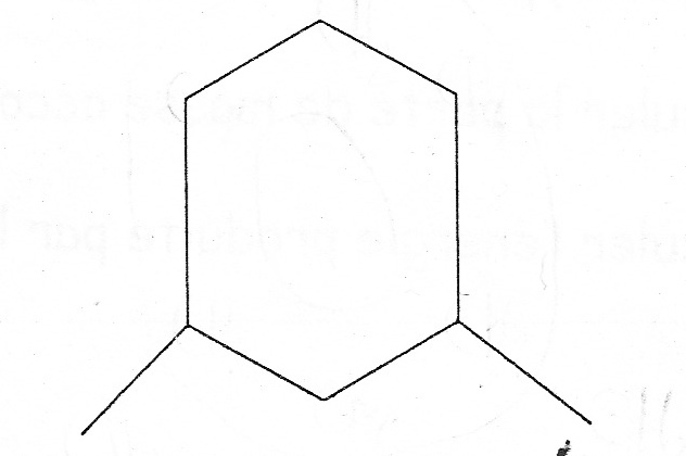 Nomenclature des alcanes
