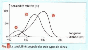La vision des couleurs / 1re S