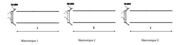 Les tuyaux sonores (sp physique)