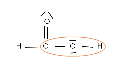 L\'Acide formique