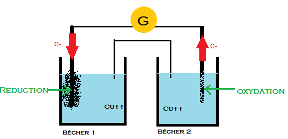 Pile de concentration, o est anode et cathode?