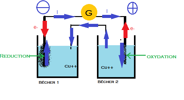 Pile de concentration, o est anode et cathode?