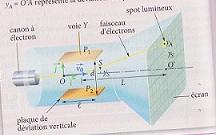 exercice physique