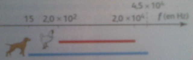 DM de Chimie (4)