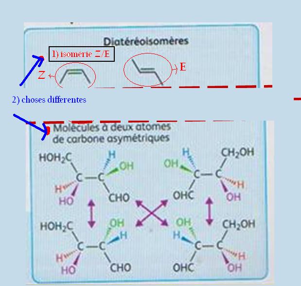 Molcule chirale et strochimie