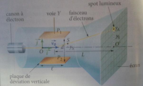 Loi de newton 