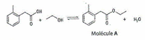 Chromatographie, spectre IR et RMN