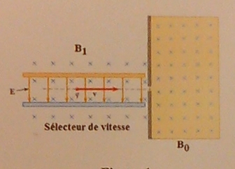 Champ lectrostatique et magntique : spectromtre de masse