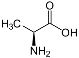 Nomenclature acide amins
