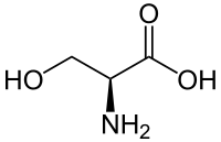 Nomenclature acide amins