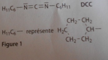 La synthse d\'un amide 