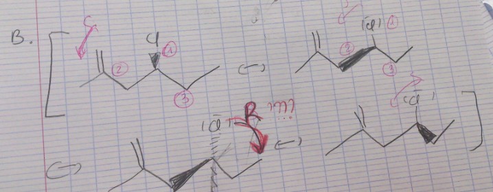 Stroisomres du 4-chloro-2-mthylhex-1-ne