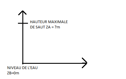 exercice poisson