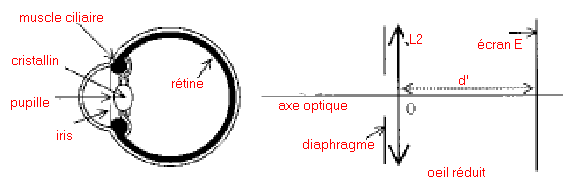 RÃ©sultat de recherche d'images pour 