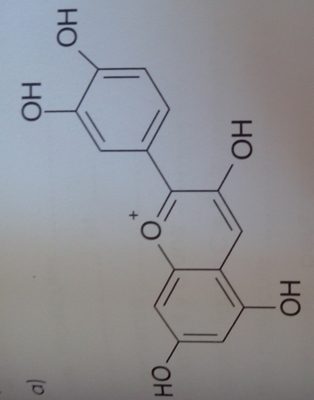 formule topologique