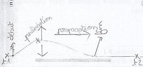 Comprendre la propagation d\'une onde