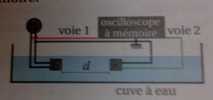 exercice