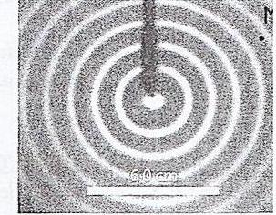 La double priodicit d\'une onde progressive sinusodale