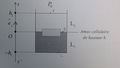Hydrostatique