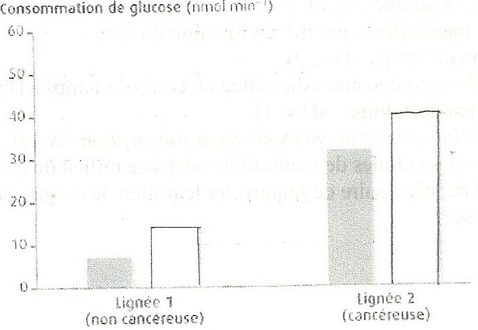 metabolisme