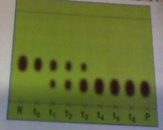 Devoir maison de physique chimie