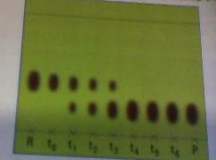Dm de physique chimie