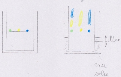 chromatographie du colorant vert du sirop de menthe
