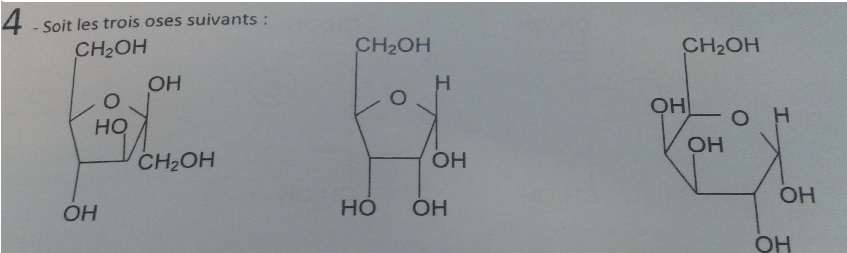 (biochimie) les oses: structure et proprits