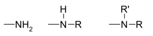 auxochrome&chromophore