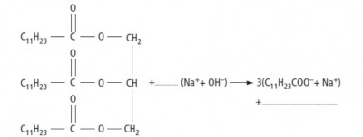 Devoirs chimie : Acide gras/Alcool et savons